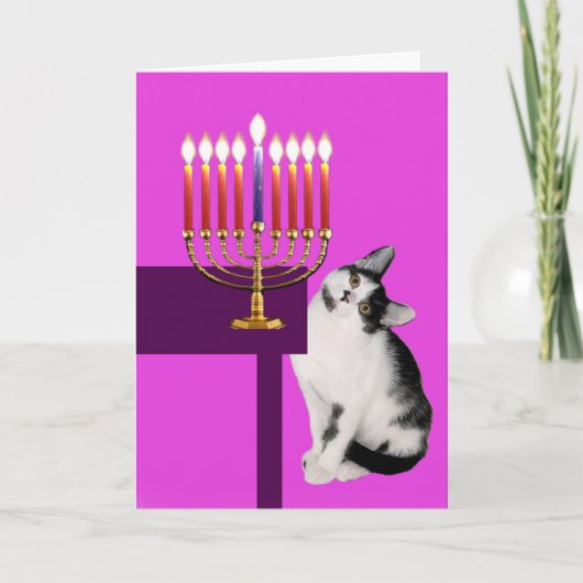 Chat et carte roses de Menorah Hanoukka (Devant)
