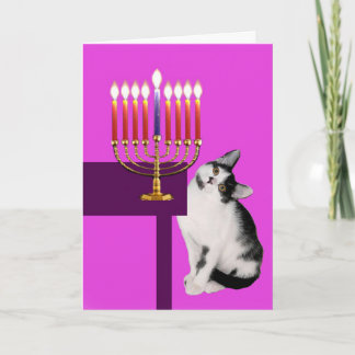 Chat et carte roses de Menorah Hanoukka