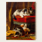 Chat et chatons Jouer avec chaise (Dos)