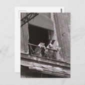 Chat et chien - Robert Doisneau Briefkaart (Voorkant / Achterkant)