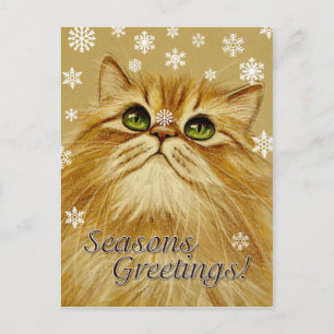 Chat et neige Joyeuses Fêtes - Carte postale