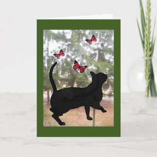 Chat et papillons, carte pensée pour vous