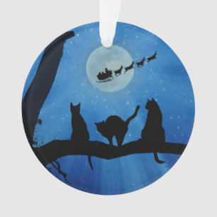 Chat et Père Noël Noël