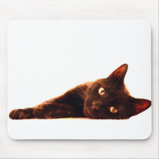 Chat et tapis de souris