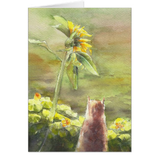 Chat et tournesol