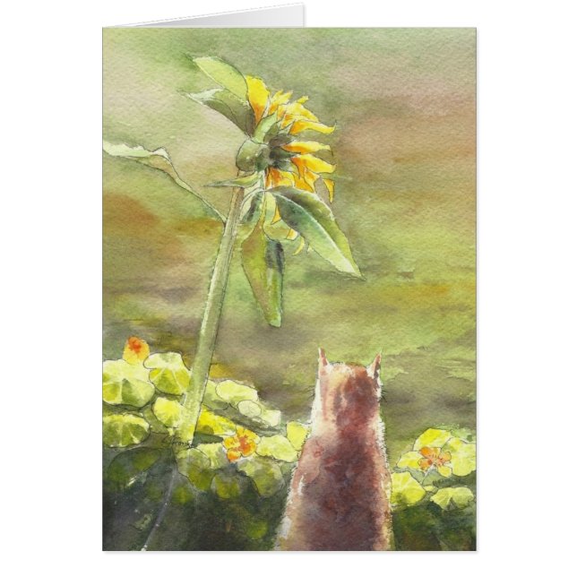 Chat et tournesol (Devant)