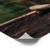 Chat faisant yoga impression numérique (Coin)