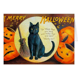 Chat Falln Joyeux Halloween