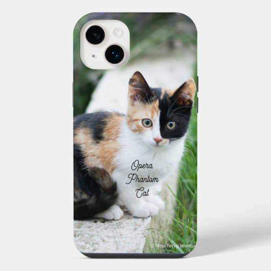 Chat Fantôme de l'Opéra (Verso)
