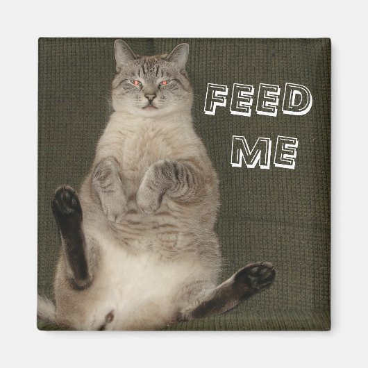 Chat "FEED ME" Magnet Carré (Devant)