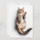 Chat Fluffy Adorable - Cartes d'Amoureux des chats (Dos)