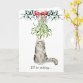 Chat Fluffy sous la carte de Noël Mistletoe (Fleur jaune)