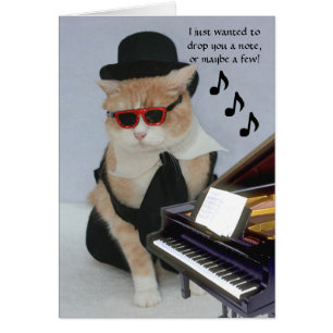 Chat Funny personnalisable