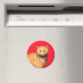 Chat gingembre 3 Magnet (In Situ (Lave-vaisselle))