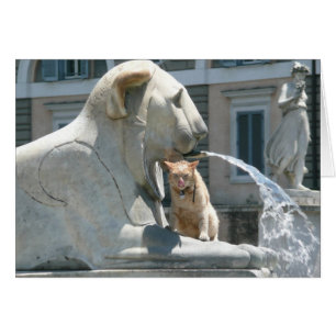 Chat grincheux à Rome, fontaine dans Piazza