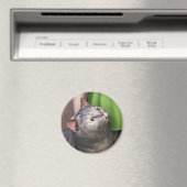Chat Gris 3 Magnet (In Situ (Lave-vaisselle))