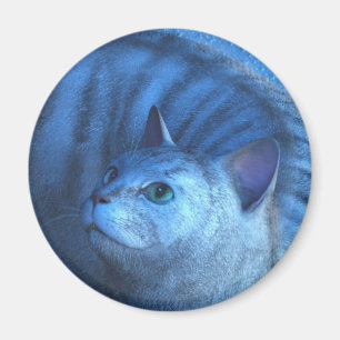 Chat Gris 4 Magnet
