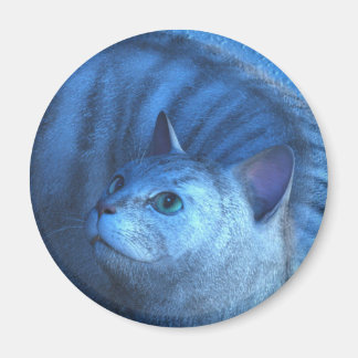 Chat Gris 4 Magnet