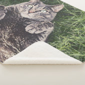 chat gris allongé dans l'herbe Plaid numérique She (3/4)