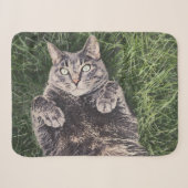 chat gris allongé dans l'herbe Plaid numérique She (Devant (Horizontal))
