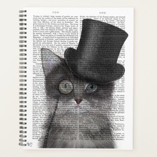 Chat gris avec chapeau supérieur (Devant)