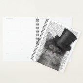 Chat gris avec chapeau supérieur (Devant avec enveloppe)