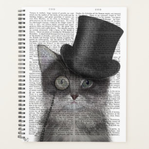 Chat gris avec chapeau supérieur