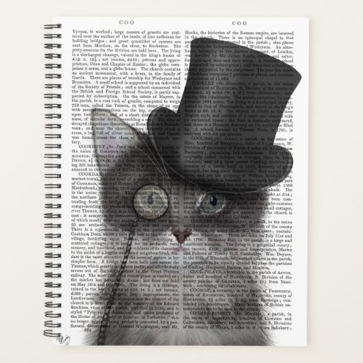 Chat gris avec chapeau supérieur (Devant)