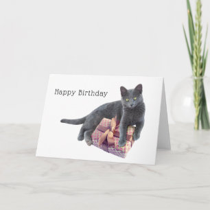 Chat gris avec la carte d'anniversaire actuelle
