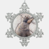 Chat gris de smoking en ornement de flocon de (Devant)