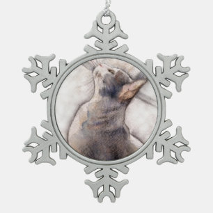 Chat gris de smoking en ornement de flocon de