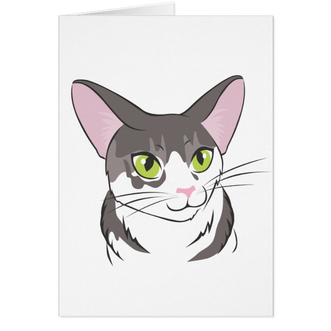Chat gris et blanc (Devant)