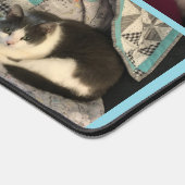 Chat gris et blanc (Coin)