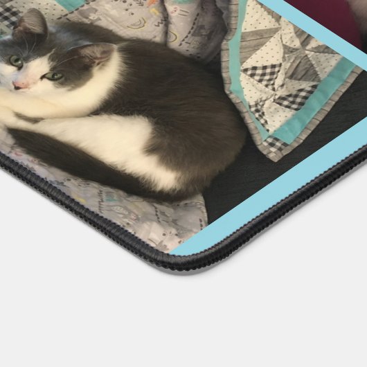 Chat gris et blanc (Coin)