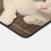 "Chat gris et blanc" (Coin)