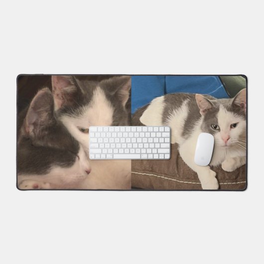 "Chat gris et blanc" (Clavier et souris)
