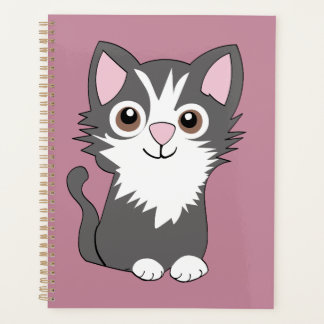 Chat gris et blanc