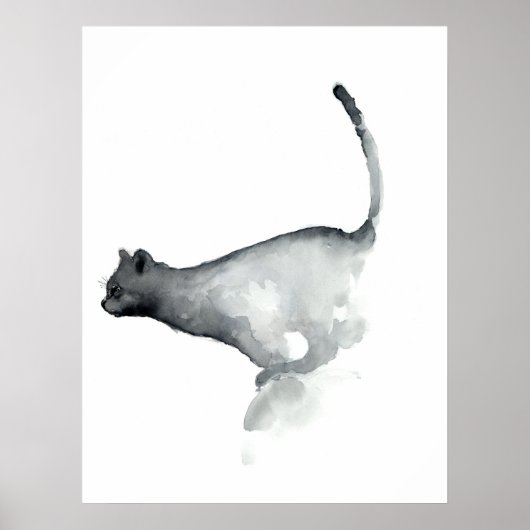 Chat gris grisâtre chats à poster blanc (Devant)