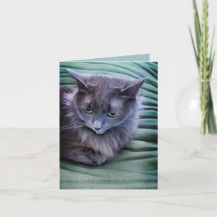 Chat Gris Vert Oyé - Carte de voeux Pliée Vierge
