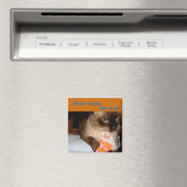Chat Grognon - Magnet pour réfrigérateur Chat Sia (In Situ (Lave-vaisselle))