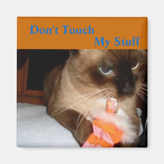 Chat Grognon - Magnet pour réfrigérateur Chat Sia (Devant)