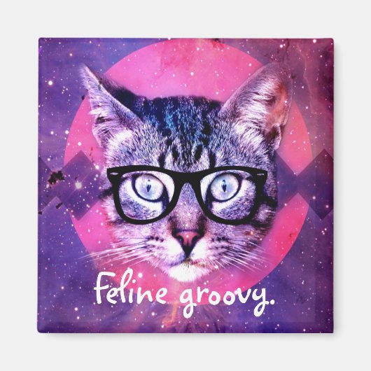 Chat Groovy Magnet (Devant)
