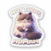 Chat Grumpy "Pas aujourd'hui, humain" Sticker en v (Recto)