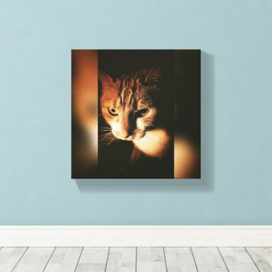 Chat Imprimé Sur Toile (Insitu (Plancher de Bois))