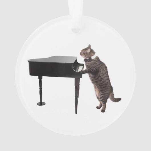 Chat Jouer Piano (dos)