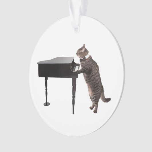 Chat Jouer Piano (devant)