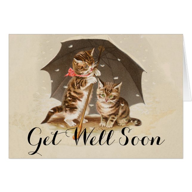 Chat Kitten chaton antique vintage jolie mignonne (Devant horizontal)