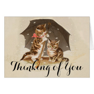 Chat Kitten chaton antique vintage jolie mignonne