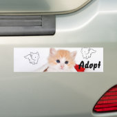 Chat Kitten Chien Adopter le pare-chocs Sticker (En voiture)