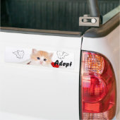 Chat Kitten Chien Adopter le pare-chocs Sticker (Sur camion)